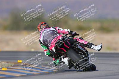 media/Dec-15-2023-Apex Assassins (Fri) [[91f19fb1c7]]/Trackday 1/Session 4 (Turn 14 Backside)/